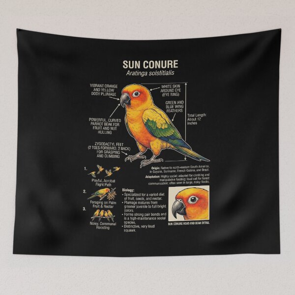 Item preview, Sun Conure Scientific Anatomy Ornithology Parrot Lover designed and sold by dian-rody-crest.