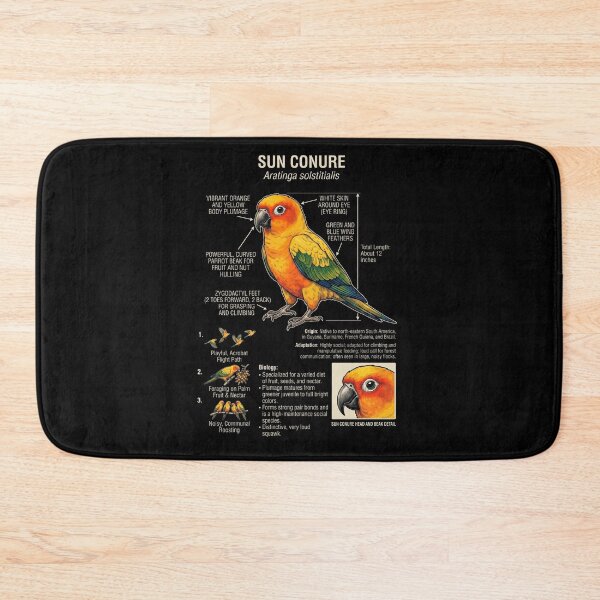Item preview, Sun Conure Scientific Anatomy Ornithology Parrot Lover designed and sold by dian-rody-crest.