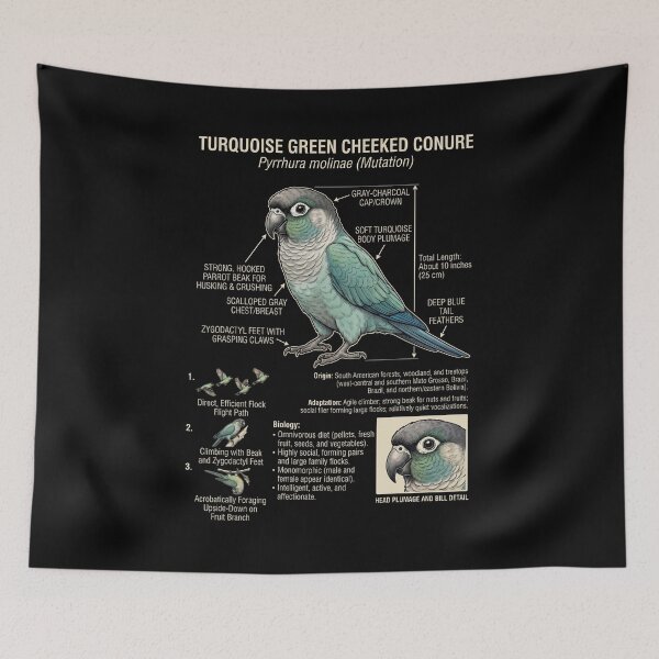 Item preview, Turquoise Green Cheeked Conure Scientific Anatomy Ornithology Parrot Lover designed and sold by dian-rody-crest.