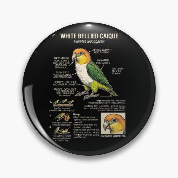Item preview, White Bellied Caique Scientific Anatomy Ornithology Parrot Lover designed and sold by dian-rody-crest.