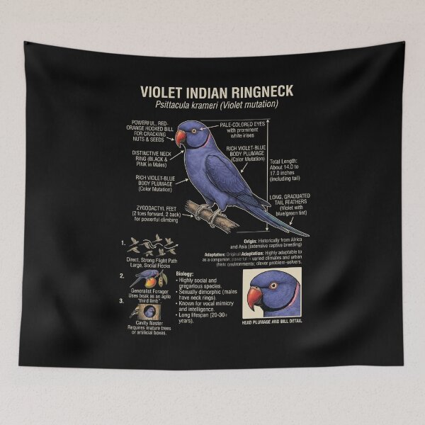 Item preview, Violet Indian Ringneck Scientific Anatomy Ornithology Parrot Lover designed and sold by dian-rody-crest.