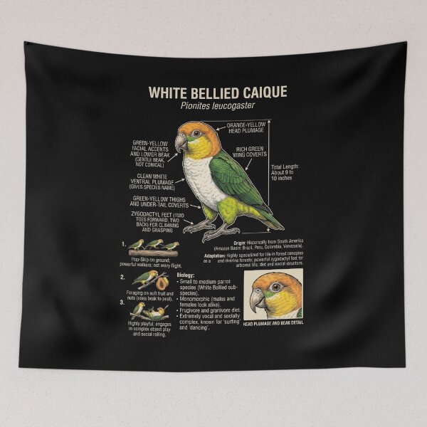 Item preview, White Bellied Caique Scientific Anatomy Ornithology Parrot Lover designed and sold by dian-rody-crest.
