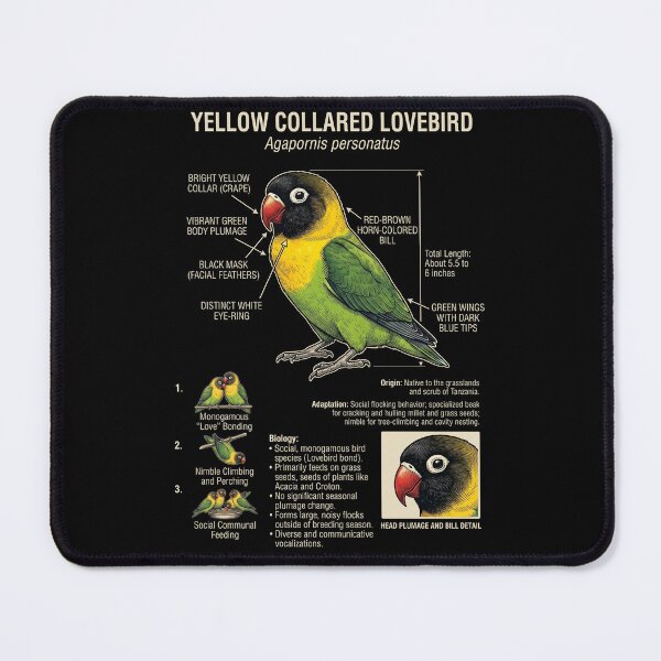 Item preview, Yellow Collared Lovebird Scientific Anatomy Ornithology Parrot Lover designed and sold by dian-rody-crest.