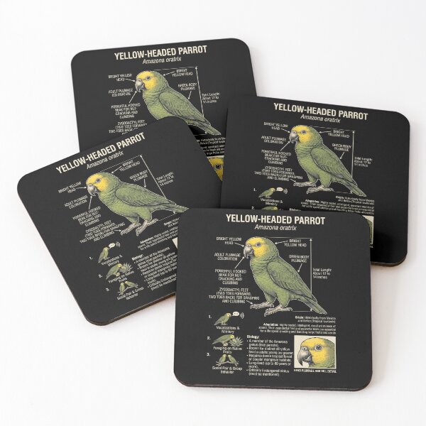 Item preview, Yellow Headed Scientific Anatomy Ornithology Parrot Lover designed and sold by dian-rody-crest.