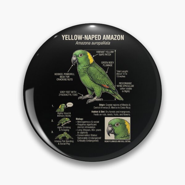 Item preview, Yellow Naped Amazon Scientific Anatomy Ornithology Parrot Lover designed and sold by dian-rody-crest.