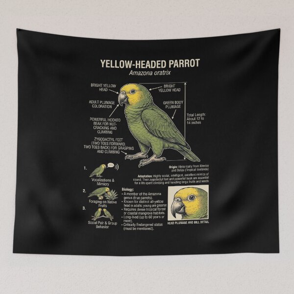 Item preview, Yellow Headed Scientific Anatomy Ornithology Parrot Lover designed and sold by dian-rody-crest.