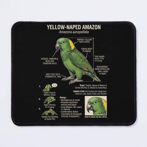 Item preview, Yellow Naped Amazon Scientific Anatomy Ornithology Parrot Lover designed and sold by dian-rody-crest.