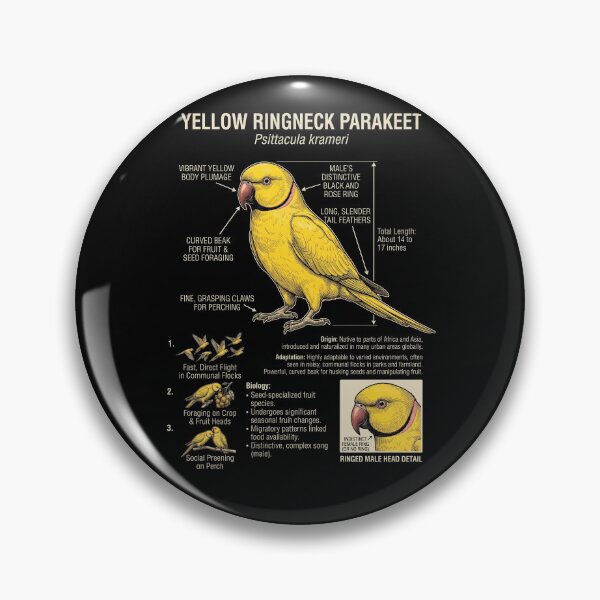 Item preview, Yellow Ringneck Parakeet Scientific Anatomy Ornithology Parrot Lover designed and sold by dian-rody-crest.