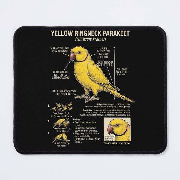 Item preview, Yellow Ringneck Parakeet Scientific Anatomy Ornithology Parrot Lover designed and sold by dian-rody-crest.
