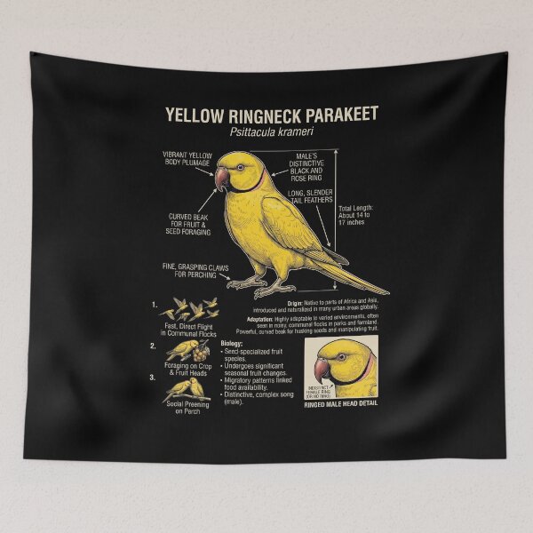 Item preview, Yellow Ringneck Parakeet Scientific Anatomy Ornithology Parrot Lover designed and sold by dian-rody-crest.