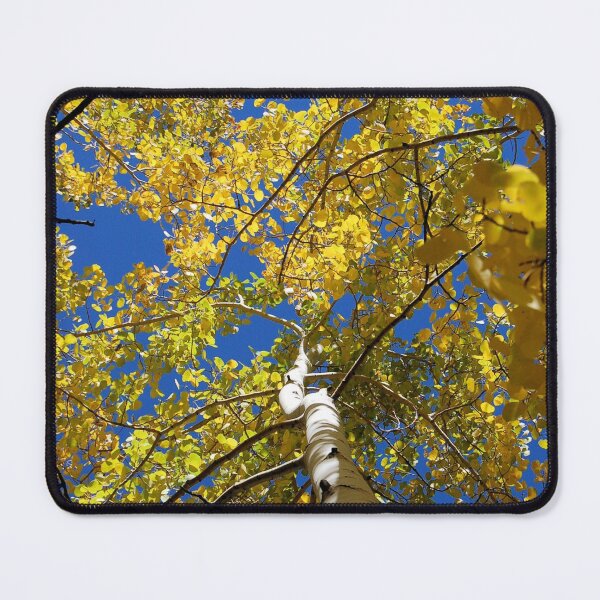 Item preview, Upward Aspen Trees designed and sold by The Better Days Company.