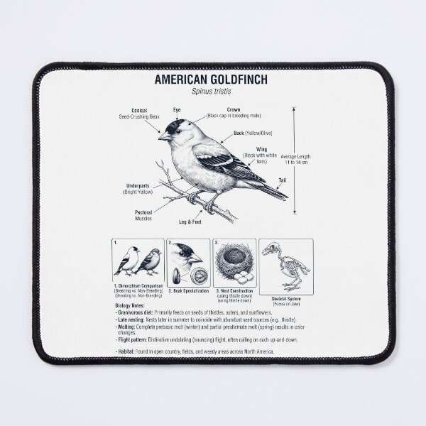 Item preview, American Goldfinch Scientific Anatomy Ornithology Bird Birding Lover designed and sold by dian-rody-crest.