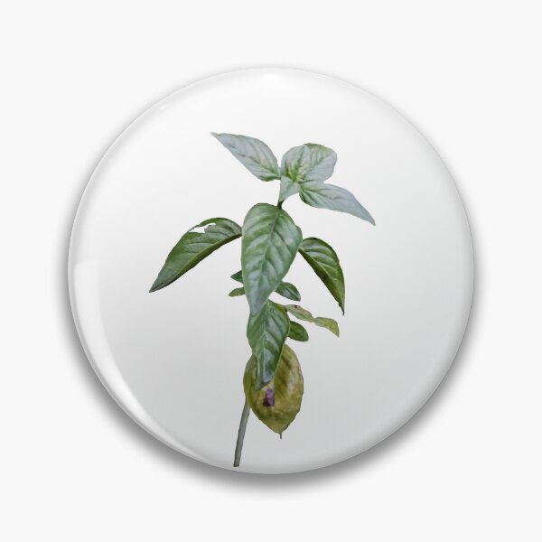 Item preview, Damaged Basil Stem with Yellowing Leaves – Photorealistic Cutout designed and sold by EmeraldeaArt.