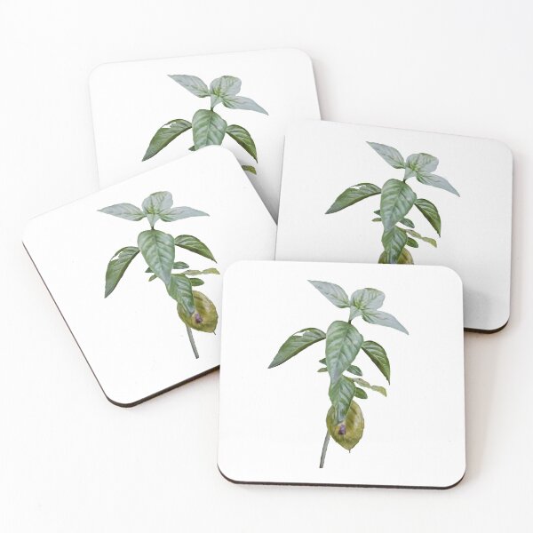 Item preview, Damaged Basil Stem with Yellowing Leaves – Photorealistic Cutout designed and sold by EmeraldeaArt.