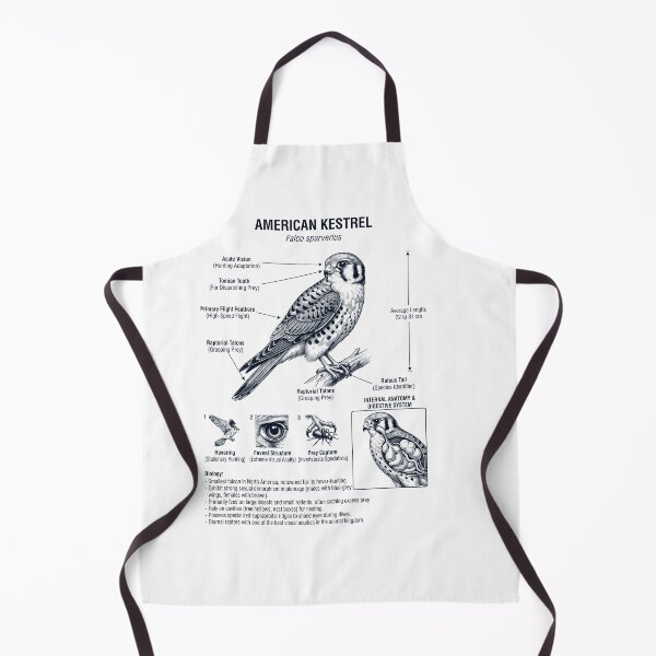 Item preview, American Kestrel Scientific Anatomy Ornithology Bird Birding Lover designed and sold by dian-rody-crest.