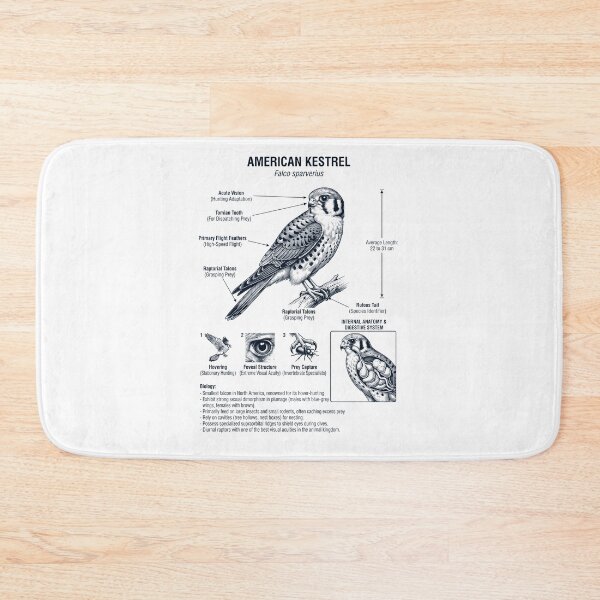 Item preview, American Kestrel Scientific Anatomy Ornithology Bird Birding Lover designed and sold by dian-rody-crest.