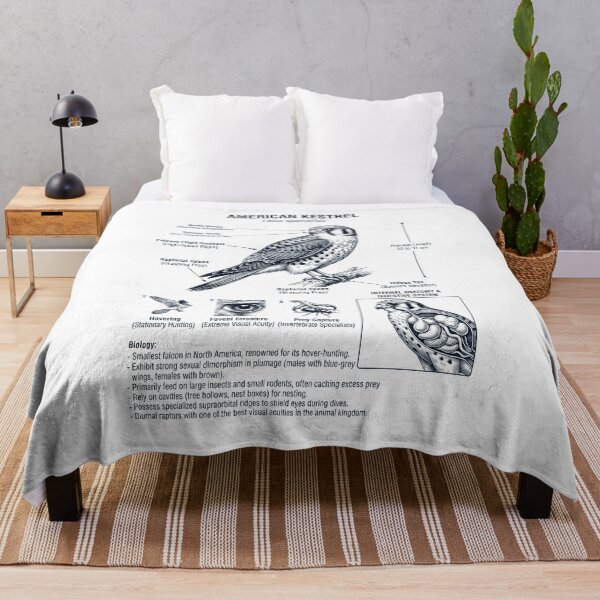 Item preview, American Kestrel Scientific Anatomy Ornithology Bird Birding Lover designed and sold by dian-rody-crest.