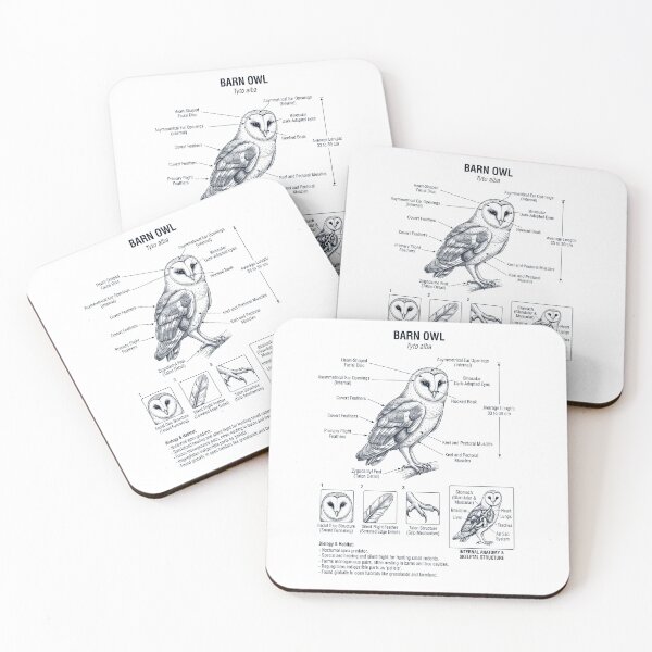 Item preview, Barn Owl Scientific Anatomy Ornithology Bird Birding Lover designed and sold by dian-rody-crest.