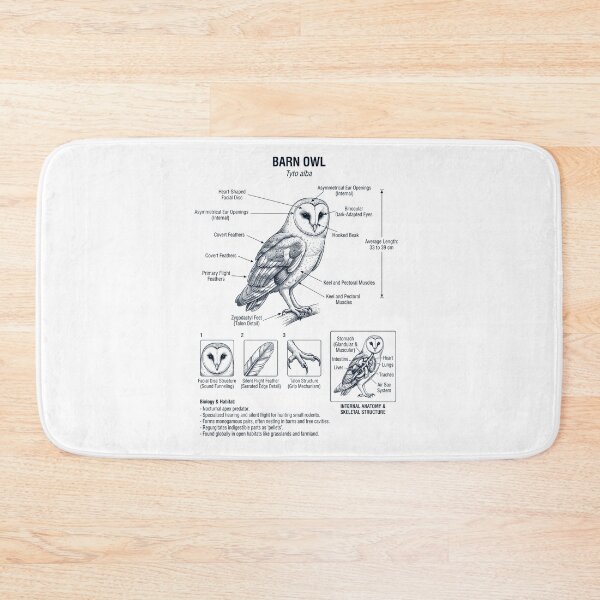 Item preview, Barn Owl Scientific Anatomy Ornithology Bird Birding Lover designed and sold by dian-rody-crest.