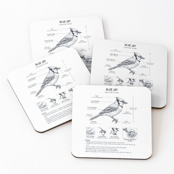 Item preview, Blue Jay Scientific Anatomy Ornithology Bird Birding Lover designed and sold by dian-rody-crest.