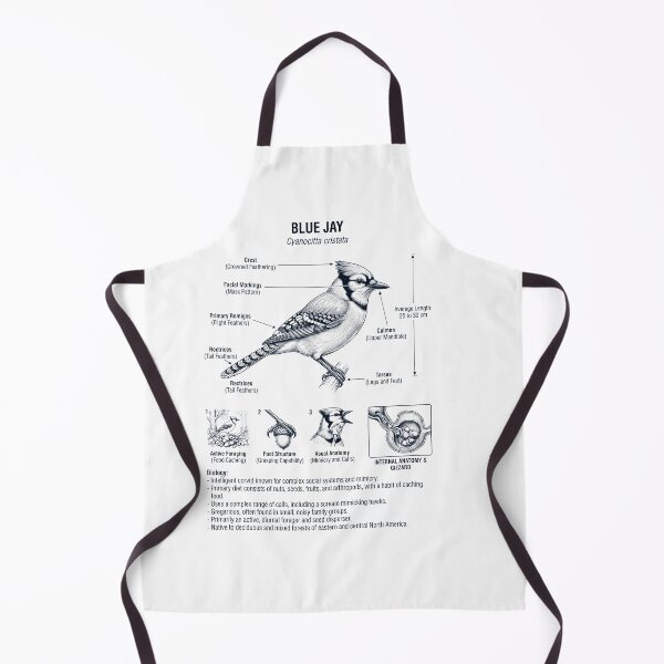 Item preview, Blue Jay Scientific Anatomy Ornithology Bird Birding Lover designed and sold by dian-rody-crest.