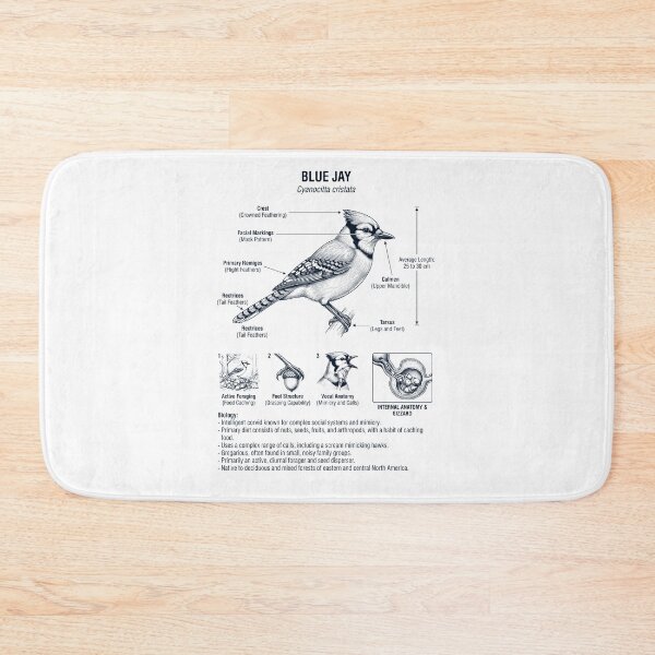 Item preview, Blue Jay Scientific Anatomy Ornithology Bird Birding Lover designed and sold by dian-rody-crest.