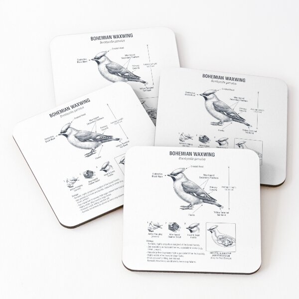 Item preview, Bohemian Waxwing Scientific Anatomy Ornithology Bird Birding Lover designed and sold by dian-rody-crest.
