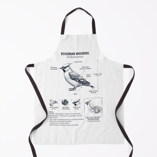 Item preview, Bohemian Waxwing Scientific Anatomy Ornithology Bird Birding Lover designed and sold by dian-rody-crest.
