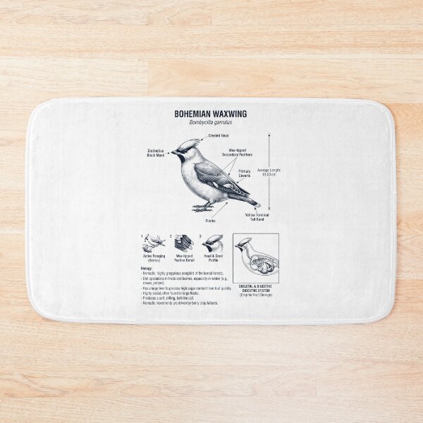 Item preview, Bohemian Waxwing Scientific Anatomy Ornithology Bird Birding Lover designed and sold by dian-rody-crest.