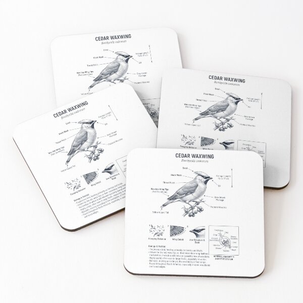 Item preview, Cedar Waxwing Scientific Anatomy Ornithology Bird Birding Lover designed and sold by dian-rody-crest.
