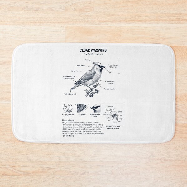 Item preview, Cedar Waxwing Scientific Anatomy Ornithology Bird Birding Lover designed and sold by dian-rody-crest.