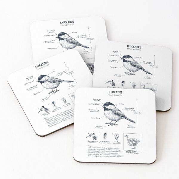 Item preview, Chickadee Scientific Anatomy Ornithology Bird Birding Lover designed and sold by dian-rody-crest.
