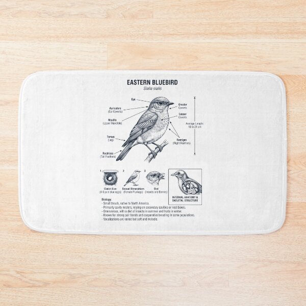 Item preview, Eastern Bluebird Scientific Anatomy Ornithology Bird Birding Lover designed and sold by dian-rody-crest.