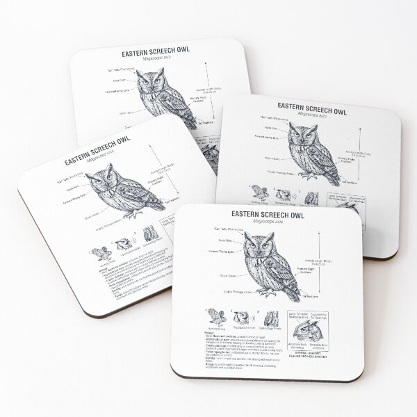 Item preview, Eastern Screech Owl Scientific Anatomy Ornithology Bird Birding Lover designed and sold by dian-rody-crest.