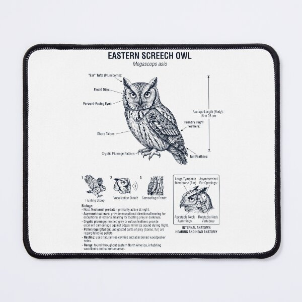 Item preview, Eastern Screech Owl Scientific Anatomy Ornithology Bird Birding Lover designed and sold by dian-rody-crest.