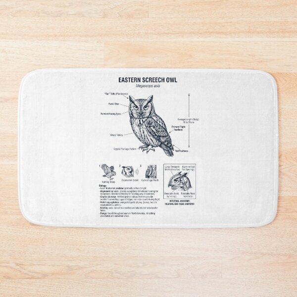 Item preview, Eastern Screech Owl Scientific Anatomy Ornithology Bird Birding Lover designed and sold by dian-rody-crest.