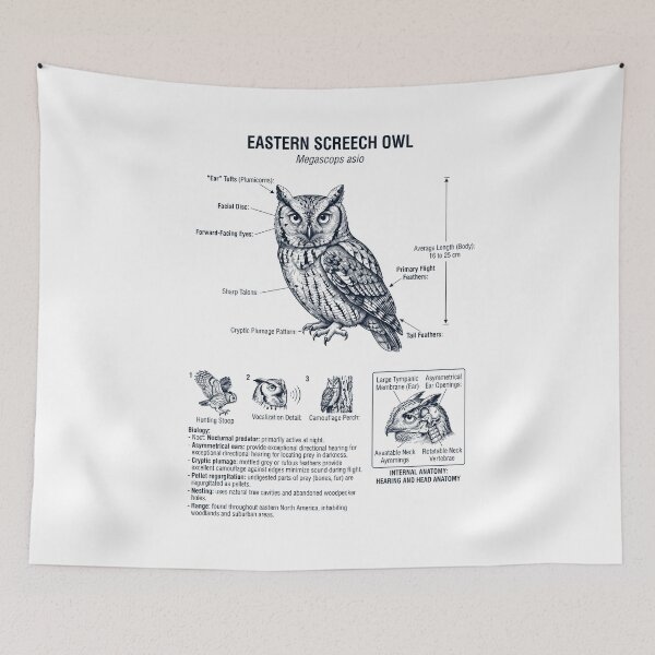 Item preview, Eastern Screech Owl Scientific Anatomy Ornithology Bird Birding Lover designed and sold by dian-rody-crest.