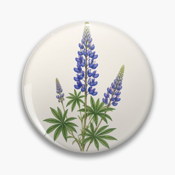 Item preview, Blue Lupine Botanical Illustration | Vintage Watercolor Wildflower Art Print designed and sold by PresMatPlays.