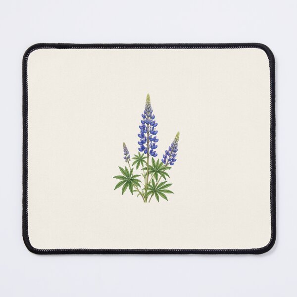 Item preview, Blue Lupine Botanical Illustration | Vintage Watercolor Wildflower Art Print designed and sold by PresMatPlays.