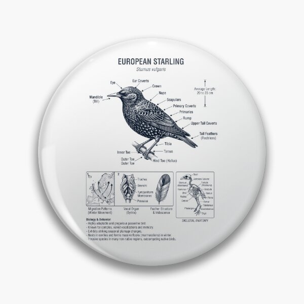 Item preview, European Starling Scientific Anatomy Ornithology Bird Birding Lover designed and sold by dian-rody-crest.