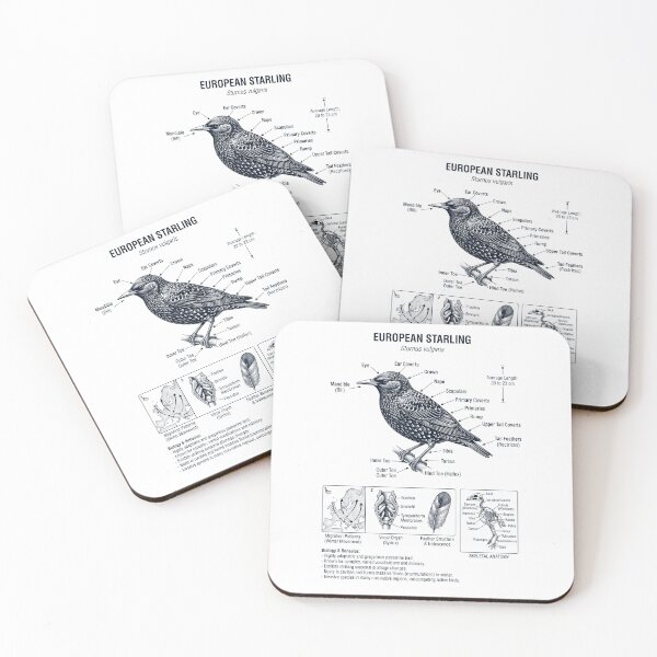 Item preview, European Starling Scientific Anatomy Ornithology Bird Birding Lover designed and sold by dian-rody-crest.