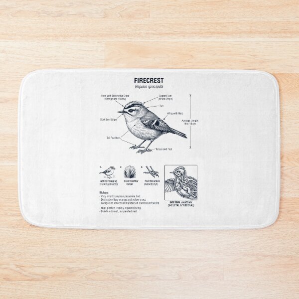 Item preview, Firecrest Scientific Anatomy Ornithology Bird Birding Lover designed and sold by dian-rody-crest.