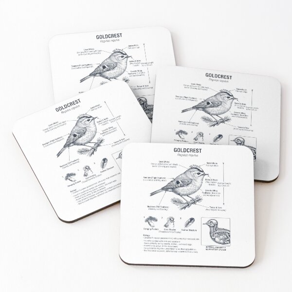 Item preview, Goldcrest Scientific Anatomy Ornithology Bird Birding Lover designed and sold by dian-rody-crest.