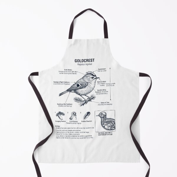 Item preview, Goldcrest Scientific Anatomy Ornithology Bird Birding Lover designed and sold by dian-rody-crest.