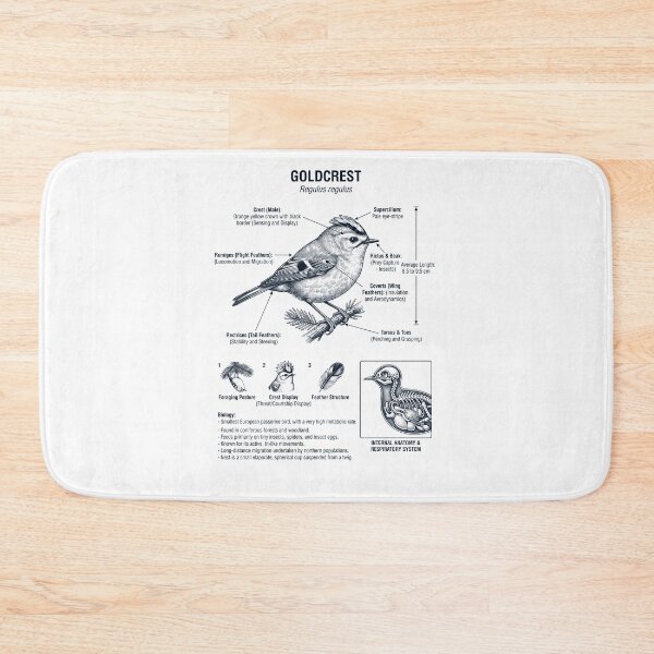 Item preview, Goldcrest Scientific Anatomy Ornithology Bird Birding Lover designed and sold by dian-rody-crest.