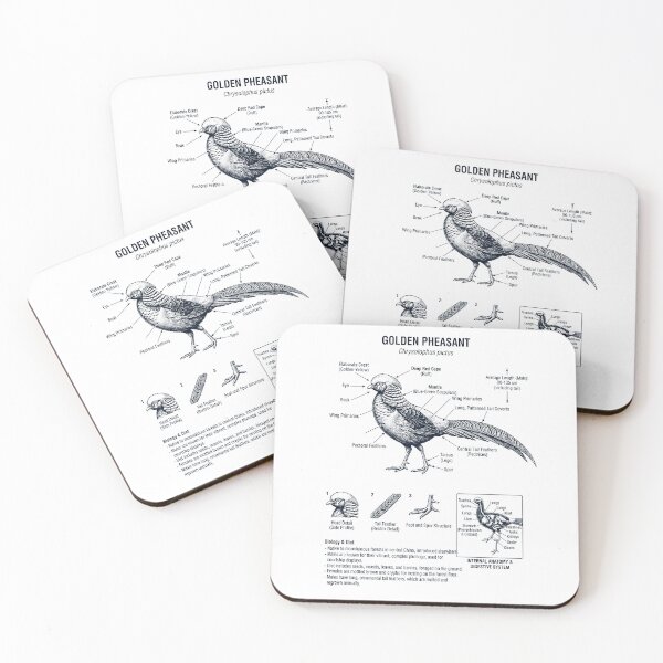 Item preview, Golden Pheasant Scientific Anatomy Ornithology Bird Birding Lover designed and sold by dian-rody-crest.