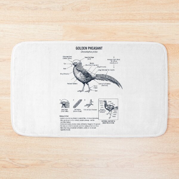 Item preview, Golden Pheasant Scientific Anatomy Ornithology Bird Birding Lover designed and sold by dian-rody-crest.