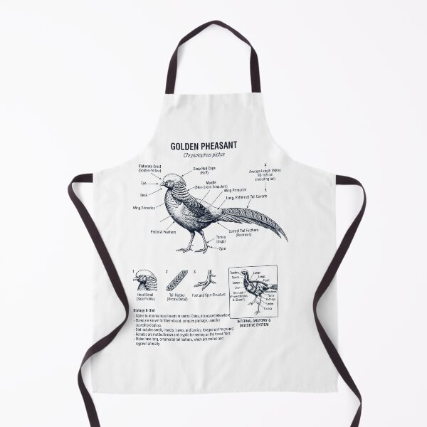 Item preview, Golden Pheasant Scientific Anatomy Ornithology Bird Birding Lover designed and sold by dian-rody-crest.