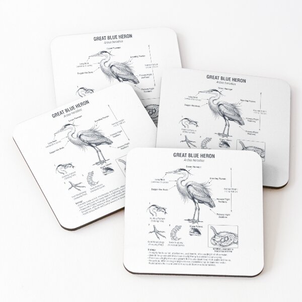 Item preview, Great Blue Heron Scientific Anatomy Ornithology Bird Birding Lover designed and sold by dian-rody-crest.