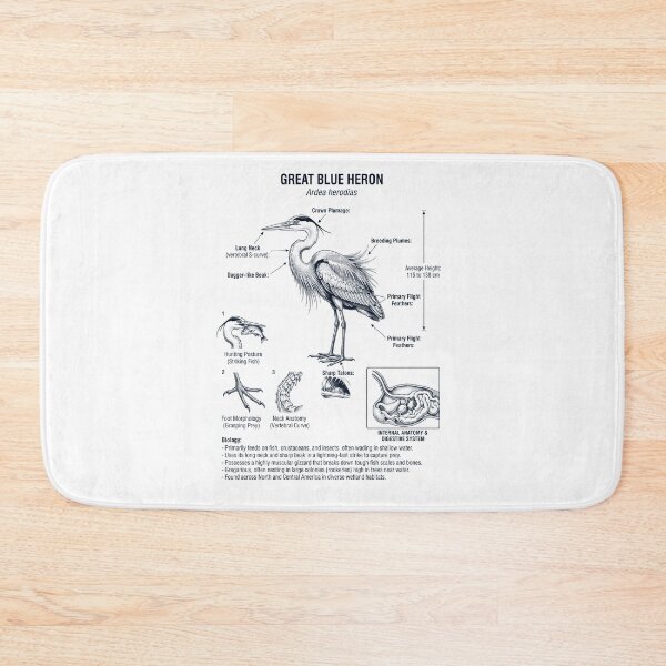 Item preview, Great Blue Heron Scientific Anatomy Ornithology Bird Birding Lover designed and sold by dian-rody-crest.